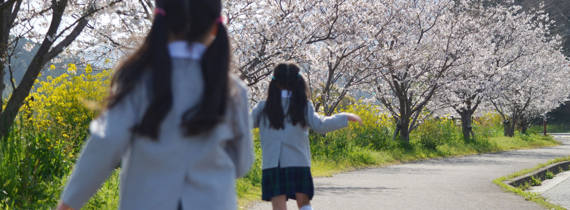 方針画像